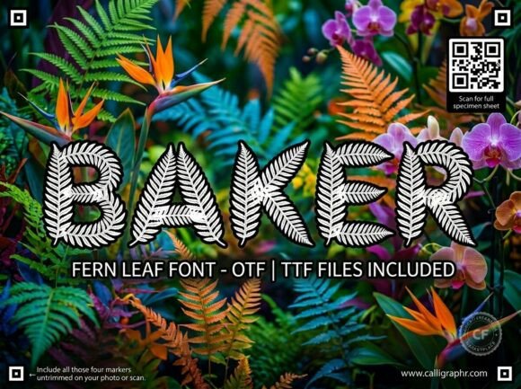 Baker Typeface for Bold Brand Identity