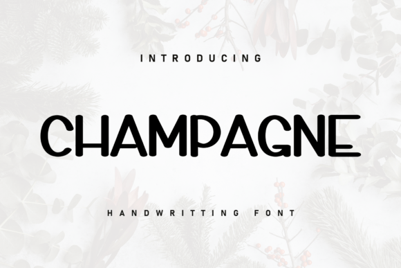 Champagne Font: Elevate Your Digital Branding